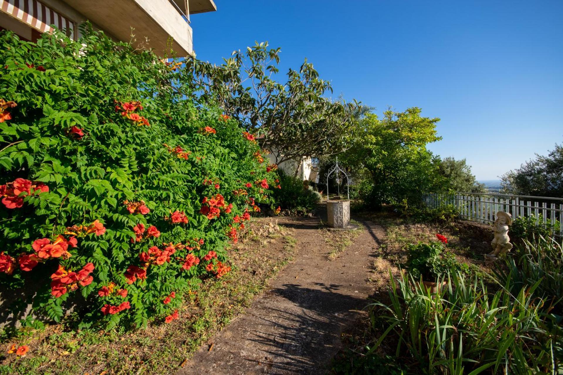 Villa Panoramica Garden Bike Massa Marittima Dış mekan fotoğraf
